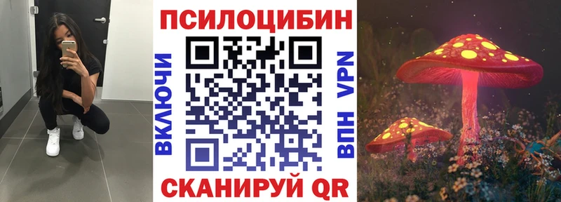 магазин    Бикин  Галлюциногенные грибы Psilocybe 